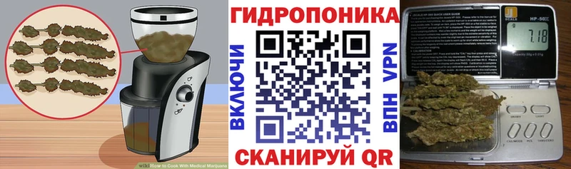 Cannafood марихуана  Сокол 