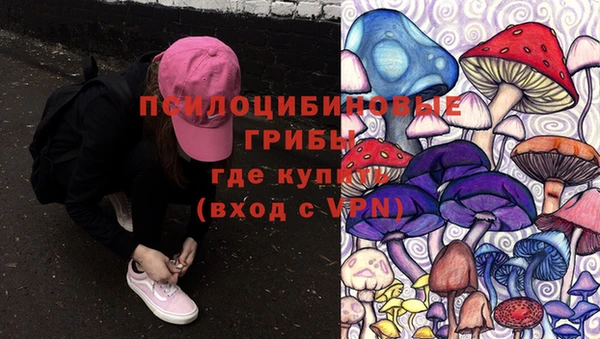 мяу мяу мука Козельск